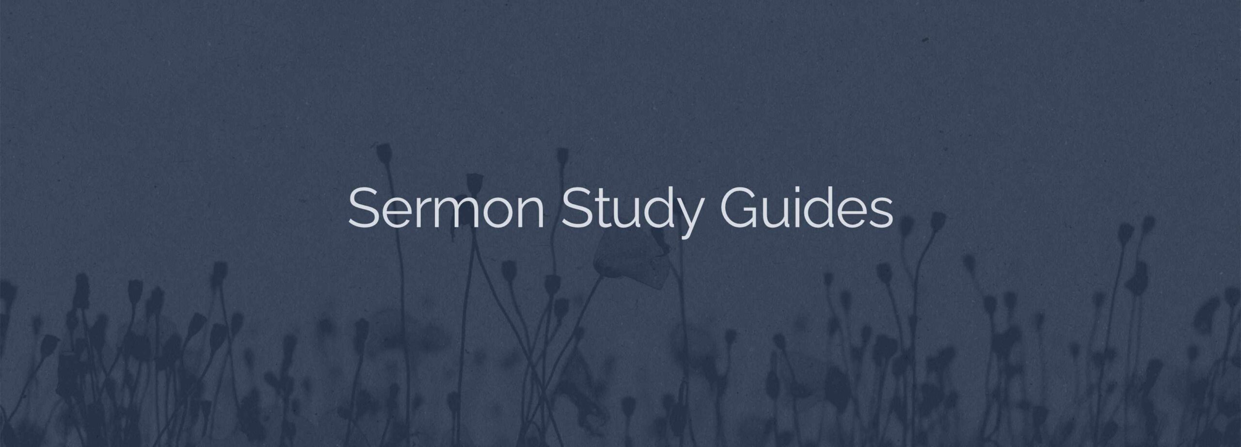 Study Guide – John 12:28-50