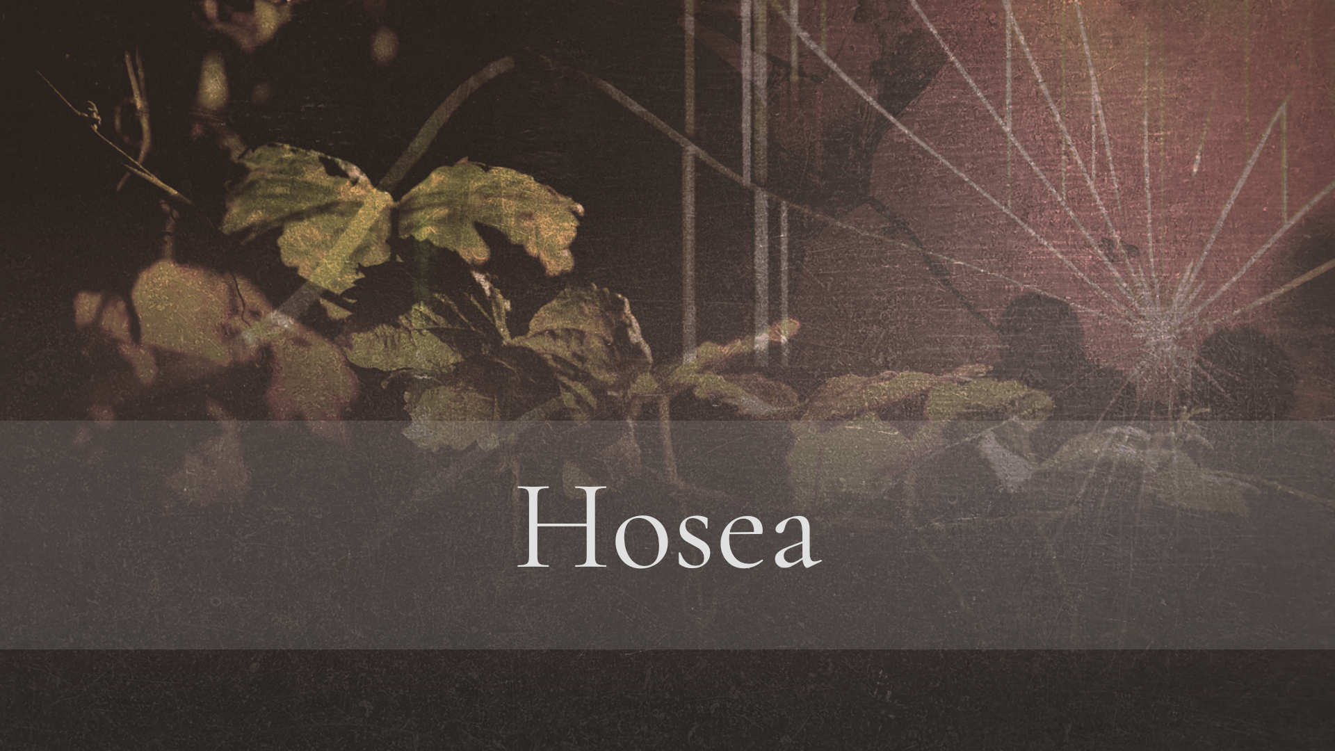 Hosea 1-2 – Great is His Faithfulness
