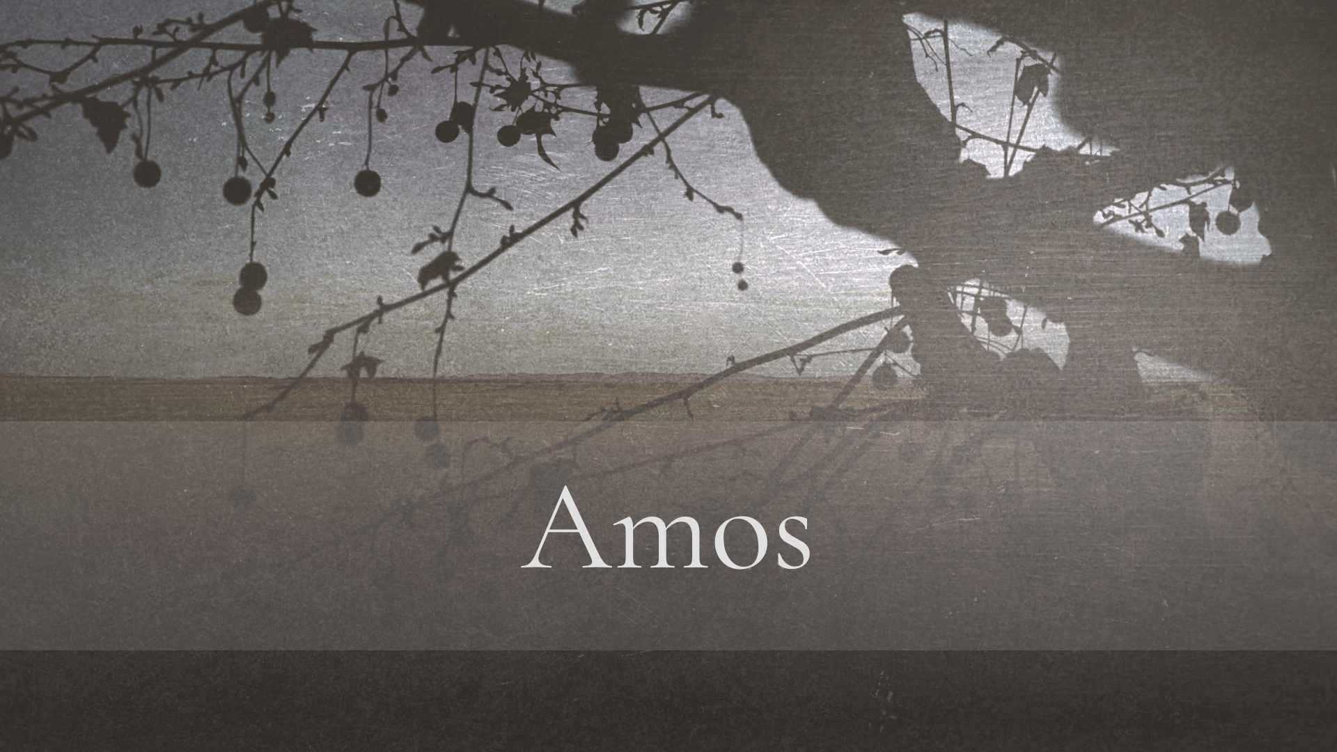 Amos 1-2 – The Lord Judges in Righteousness